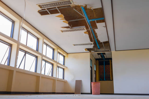 Best Basement water damage restoration  in Gilbert, IA