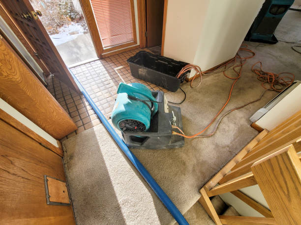 Best Commercial water damage restoration  in Gilbert, IA
