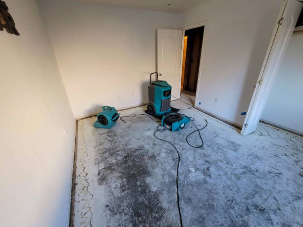 Best Water damage restoration near me  in Gilbert, IA