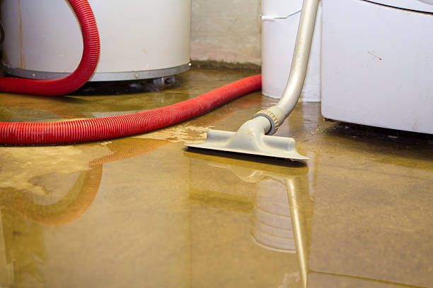 Best Water damage restoration services  in Gilbert, IA